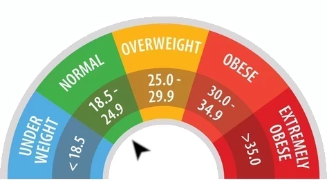 BMI Calculator